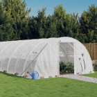 Serre avec cadre en acier blanc 48 m² 12x4x2 m