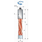 Mèche pour perçages multiples à trous non débouchants FREUD - Ø4 H27/57,5 Q10x20 Z2 - F03FA02235 -PF07MS ZA3