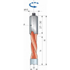 Mèche pour perçages multiples avec araseurs arrondis FREUD - Ø5 H27/57,5 Q10x27 Z2 - F03FA02079 -PF04MS AA3