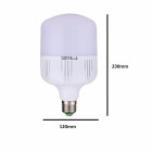 Ampoule led e27 50w 220v - couleur eclairage :au choix