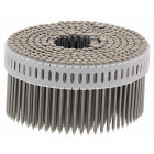 Boîte de 1950 Pointe CNP-IN crantée 2.5 x 50 mm TB Inox A4 SPIT - 395617