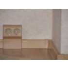 Plinthe Electrique PVC 20 x 70 mm décorée couleur hêtre par 24 mètres