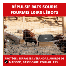 Acto répulsif ultrasons : solution ultime contre rats, souris, fourmis et plus.