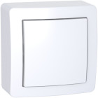 Alréa, interrupteur simple allumage avec cadre saillie blanc polaire (alb62050p)