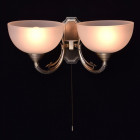 Applique murale laiton classic 2 ampoules 21 cm