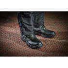 Chaussures de sécurité montantes s3 sra severn dickies - Pointure au choix