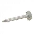 Clous à tête large, 500 g - Dimension : 30 x 3,05 mm