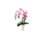 Composition artificielle orchidée haute fuchsia 3 tiges 65cm
