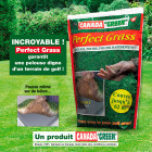 Gazon canada green perfect grass 1kg