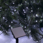 Guirlande solaire led 10 mètres codico blanc