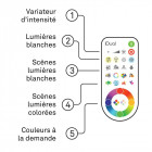 Idual - 413209 - plafonnier quarto ampoule led