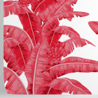 Papier peint exotique palmiers