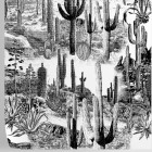 Papier peint cactus