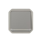 Interrupteur ou va-et-vient témoin 10ax 250v plexo composable gris (069512l)