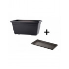 Anthracite