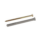 Lot de 10 chevilles à frapper - 8 x 100 mm