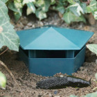 Lot de 2 pièges à limaces - vert