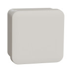 Mureva box - boite de dérivation face lisse - 80x80x45 - blanc polaire (imt05064)