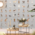 Papier peint chiens fond gris - CANI++