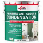 Peinture anti-condensation, anti-odeurs pour pièce humide : ARCASCREEN ANTI-CONDENSATION blanc - 2.5 l - arcane industries
