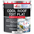 Peinture toiture Coolroof résistant stagnation d'eau : ARCAREFLECT AQUASTOP Blanc - Arcane Industries - Conditionnement au choix