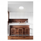 Plafonnier décoratif farrow 2 ampoules