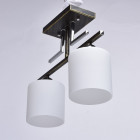 Plafonnier noir megapolis 2 ampoules 31 cm