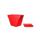 Coquelicot