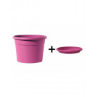 Magenta