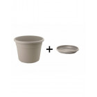 Taupe