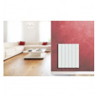 Radiateur pegase horizontal smart eco control - Puissance au choix