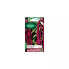 Sachet graines amarante queue de renard vilmorin