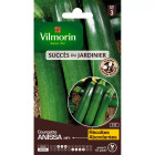 Sachet graines courgette anissa hf1