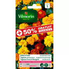 Sachet graines oeillet d'inde double nain varié 50% gratuit - tagetes erecta