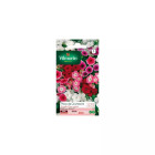 Sachet graines phlox de drummond grande fleur variée