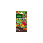 Sachet graines zinnia graffiti