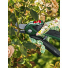 Sécateur bosch hg easyprune