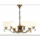 Suspension 6 ampoules columbia - Coloris au choix