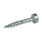Vis zinc pour trous borgnes, tête cylindrique, pas gros - 100 vis, N° 7 x 1"