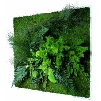 Tableau nature carré xl avec plantes stabilisées 80x80cm