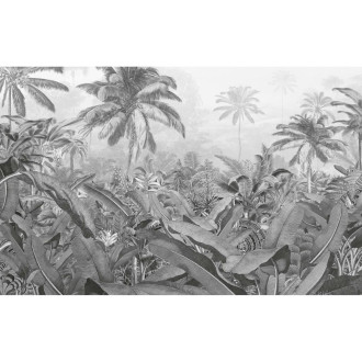 Papier peint photo amazonia noir et blanc 400x250 cm