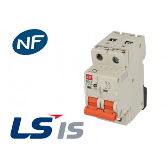 Disjoncteur modulaire bkn 6a 2p