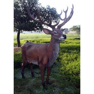 Cerf adulte en résine taille réelle