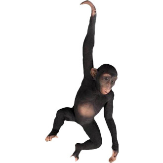 Chimpanzé avec bras suspendu en résine 92 cm