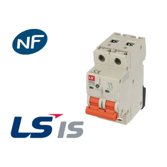 Disjoncteur modulaire 20a 2p (courbe d)