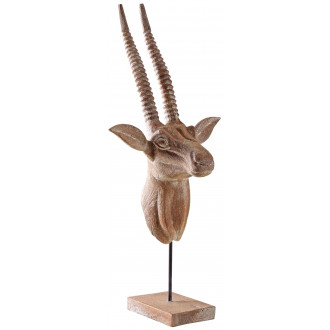 Trophée d'antilope