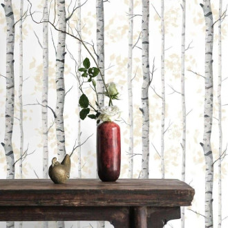 Papier peint forêt de bouleaux noir et blanc - BETULLE++