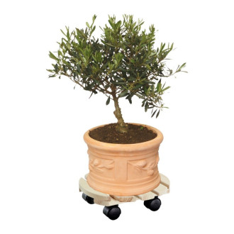 Support roulant design multi-usage rond en bois de pain - roultou