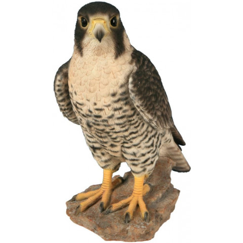 Faucon pèlerin en résine 26 cm