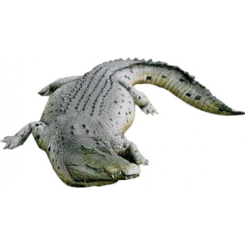 Crocodile caïman en résine 340 cm